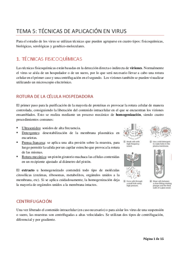 Miniatura del documento TEMA5tecnicas.pdf
