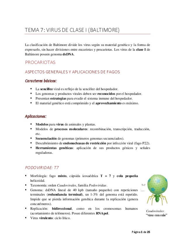 Miniatura del documento TEMA7claseIdsDNA.pdf
