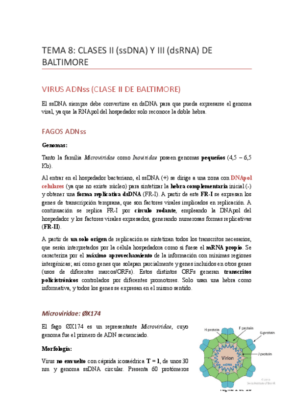Miniatura del documento TEMA8claseII-III.pdf