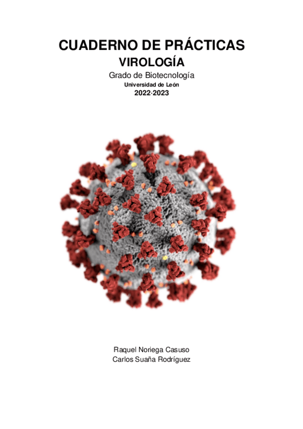 Miniatura del documento Informe-practicas.pdf