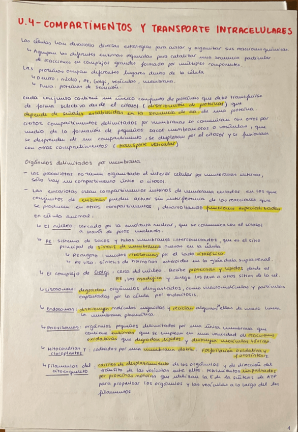 Miniatura del documento T4-Compartimentos-y-transporte.pdf
