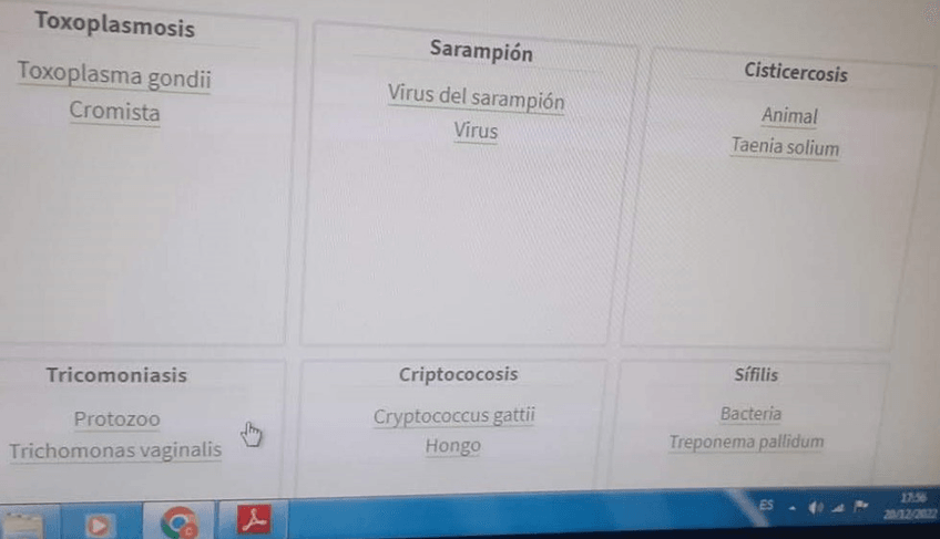 Miniatura del documento Toxoplasmosis-Sarampion-Sifilis.jpg