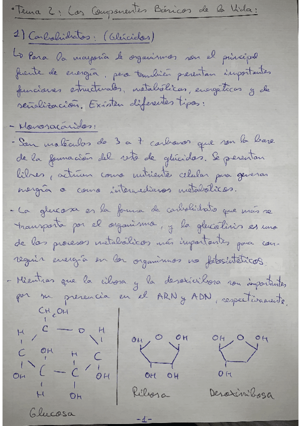 Miniatura del documento TEMA-2-RESUMEN.pdf