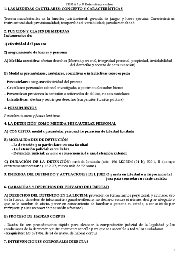 Miniatura del documento Detencion-y-cacheo.pdf