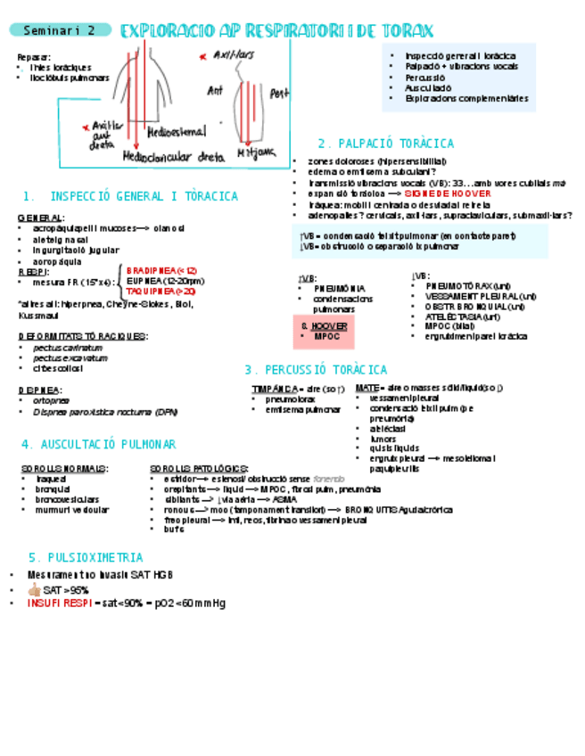 Miniatura del documento Seminari-2-pato-gral.pdf