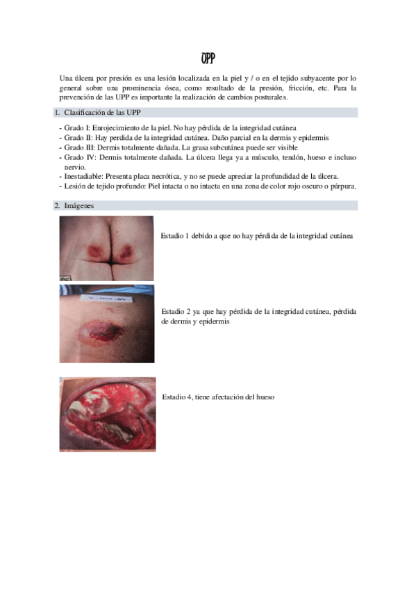 Miniatura del documento UPP.pdf