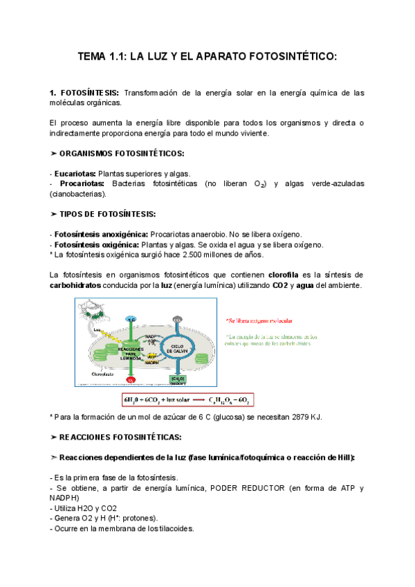 Miniatura del documento TEMA-1.1-LA-LUZ-Y-EL-APARATO-FOTOSINTETICO.pdf