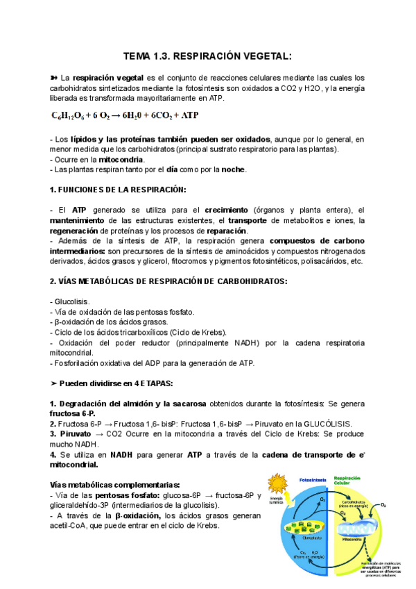 Miniatura del documento TEMA-1.3.-Y-1.4.pdf