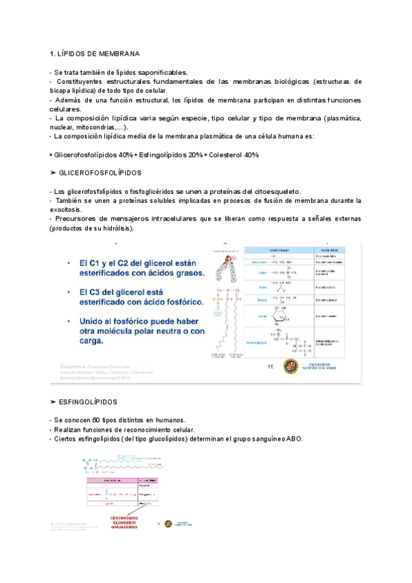 Miniatura del documento TEMA-3-LIPIDOS.pdf