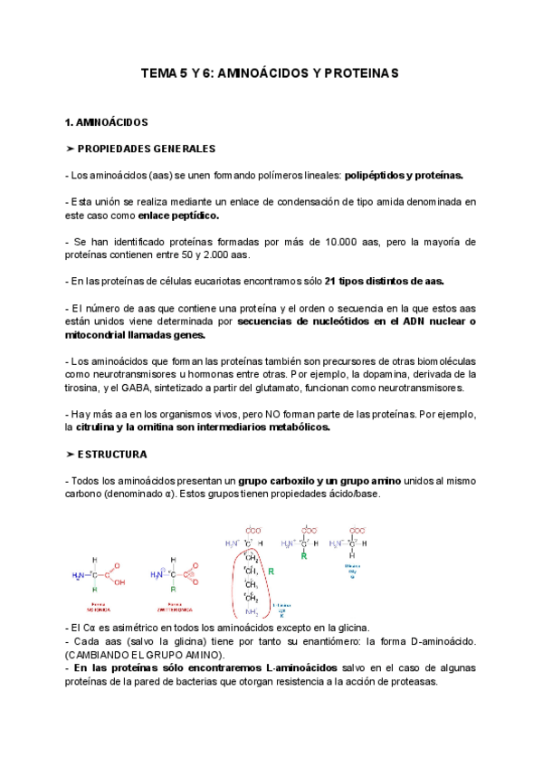 Miniatura del documento TEMA-5-Y-6-AMINOACIDOS-Y-PROTEINAS.pdf