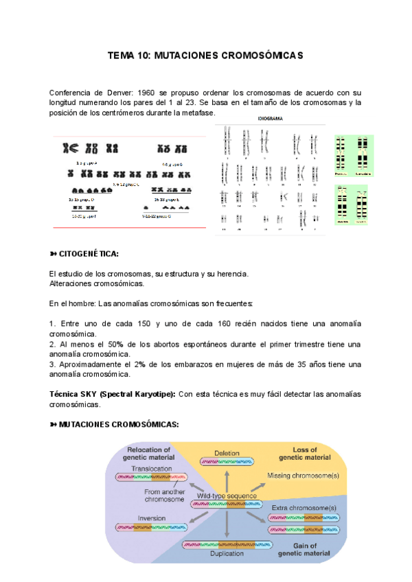 Miniatura del documento TEMA-10-MUTACIONES-CROMOSOMICAS.pdf