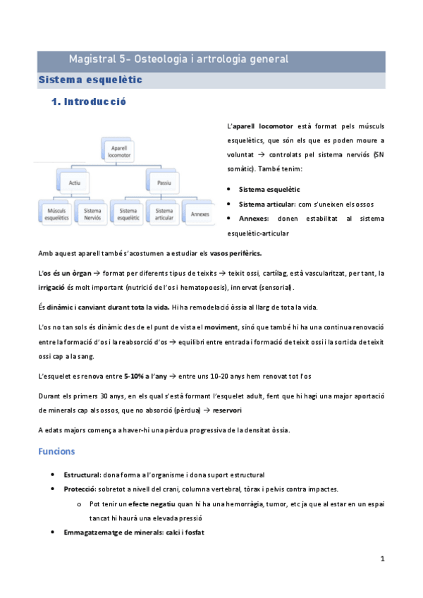Miniatura del documento DOSSIER-ANATOMIA-I-2022-23.pdf