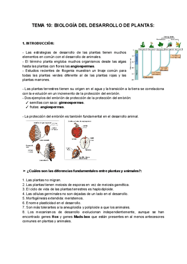 Miniatura del documento TEMA-10-BIOLOGIA-DEL-DESARROLLO-DE-PLANTAS.pdf