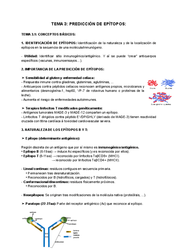 Miniatura del documento TEMA-3-PREDICCION-DE-EPITOPOS.pdf