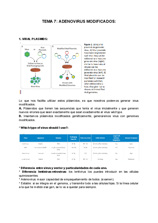 Miniatura del documento TEMA-7-ADENOVIRUS-MODIFICADOS.pdf