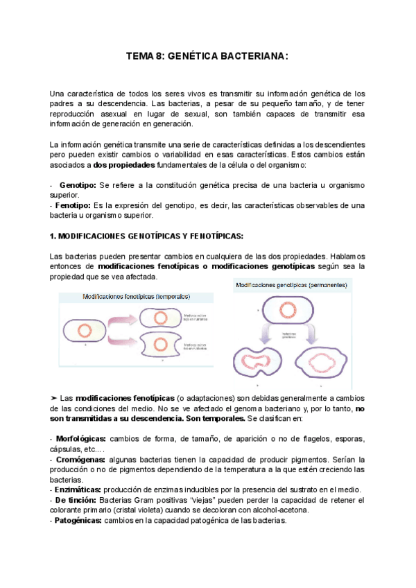 Miniatura del documento TEMA-8-GENETICA-BACTERIANA.pdf
