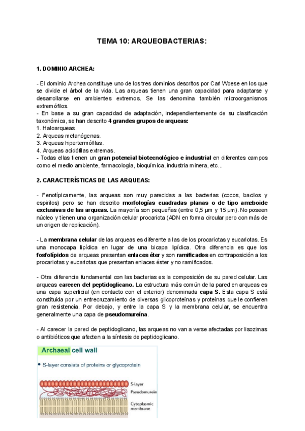 Miniatura del documento TEMA-10-ARQUEOBACTERIAS.pdf