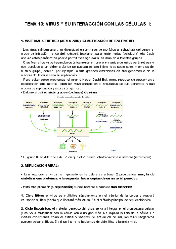 Miniatura del documento TEMA-13-VIRUS-Y-SU-INTERACCION-CON-LAS-CELULAS-II.pdf