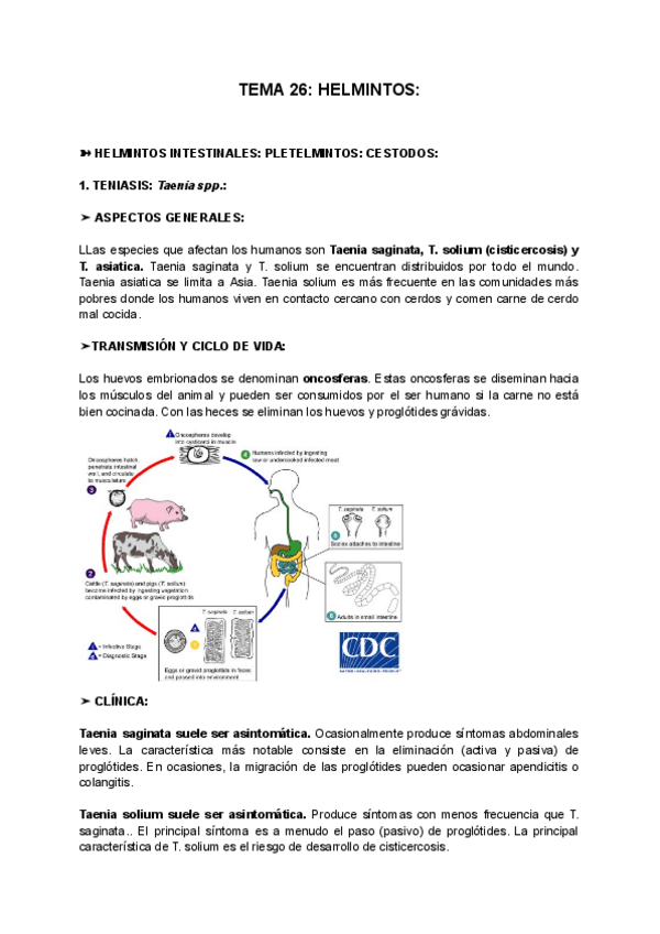 Miniatura del documento TEMA-26-HELMINTOS.pdf