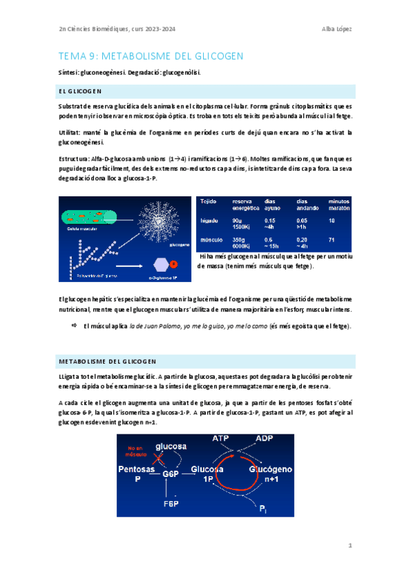 Miniatura del documento Tema-9.-Metabolisme-del-glicogen.pdf
