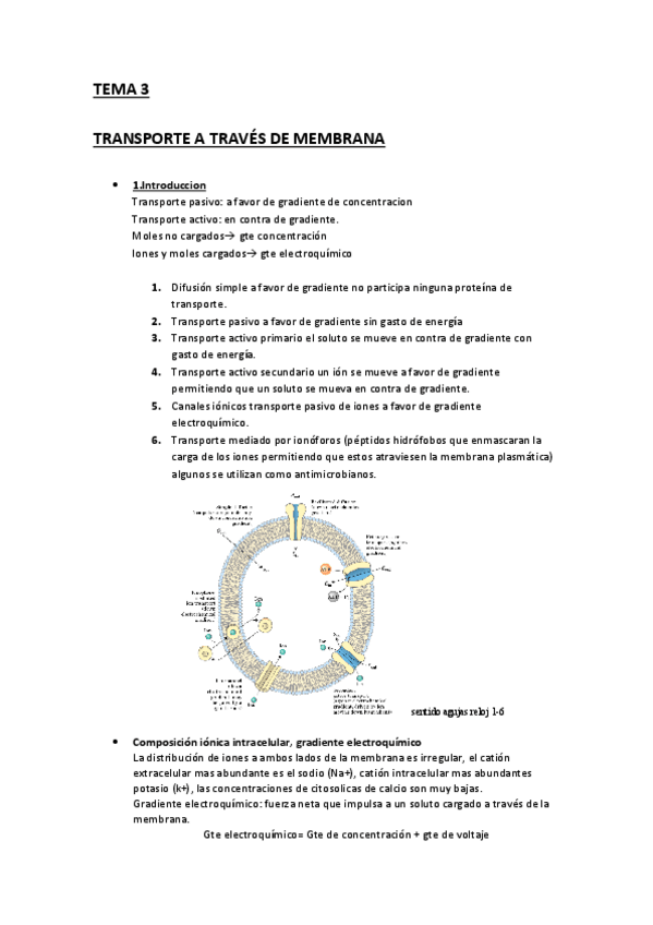 Miniatura del documento temas-parcial-2-biologia.pdf