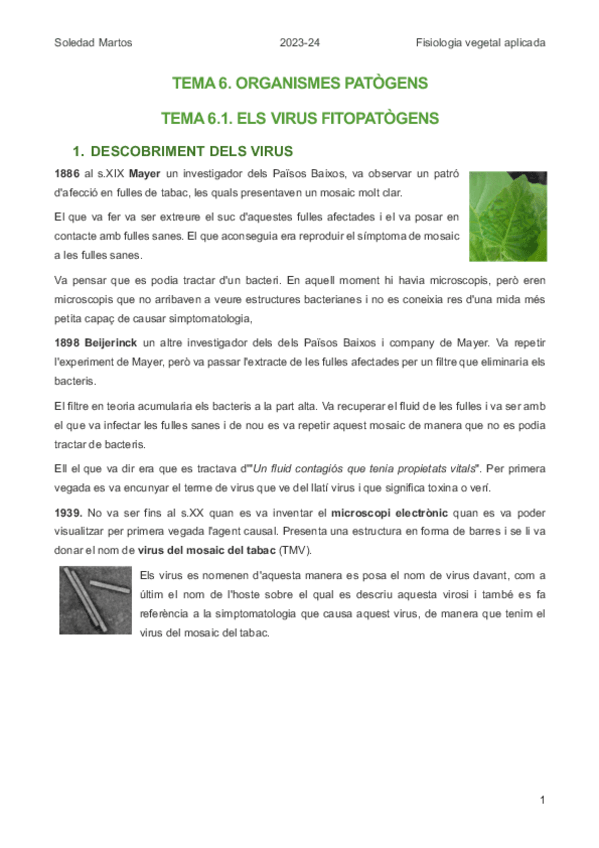Miniatura del documento FV.-TEMA-6.-ORGANISMES-PATOGENS.pdf