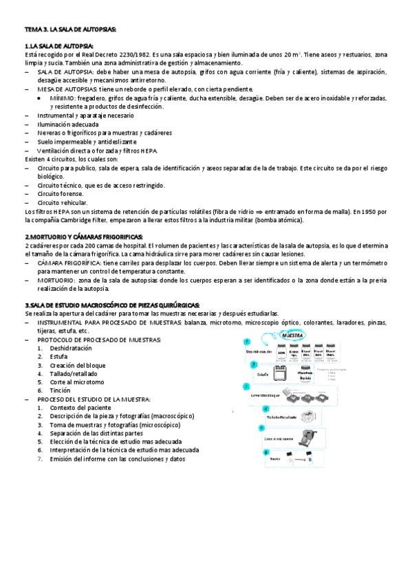Miniatura del documento TEMA-3-NECRO.pdf