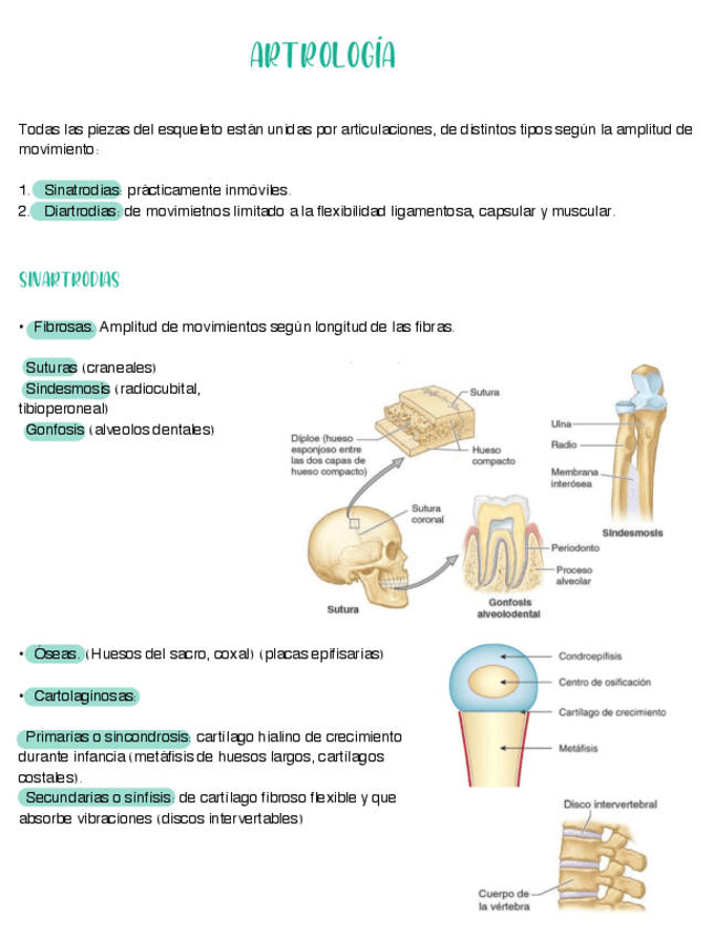 Miniatura del documento Artrologia.pdf