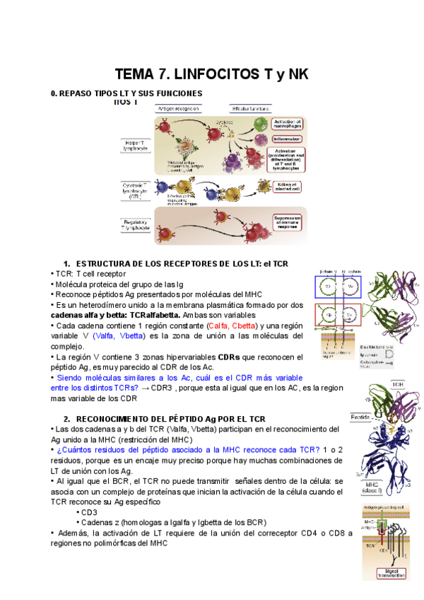 Miniatura del documento TEMA-7.-LINFOCITOS-T-y-NK.pdf