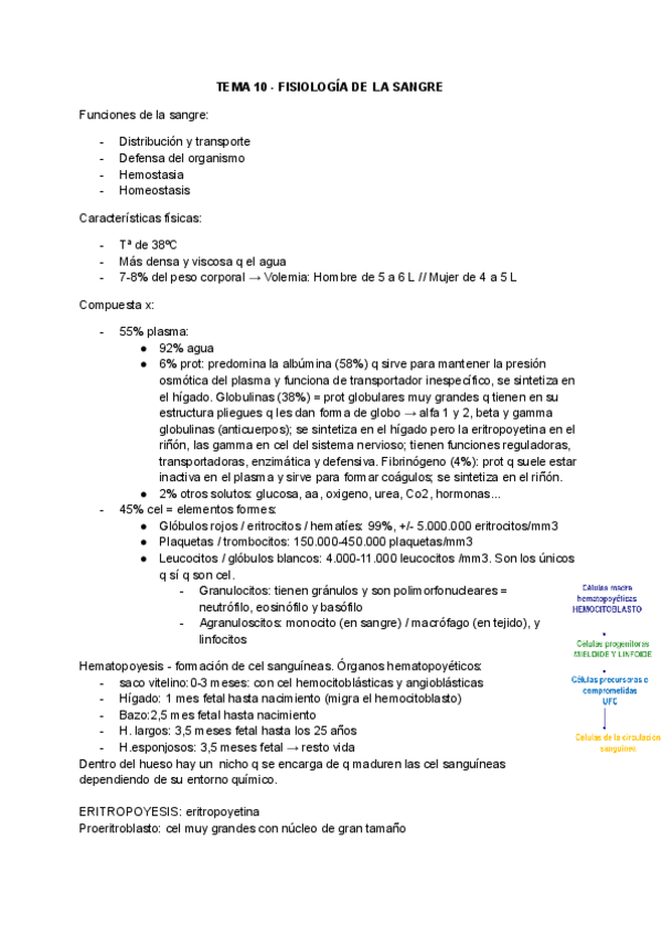 Miniatura del documento TEMA-10-Fisiologia-de-la-sangre.pdf