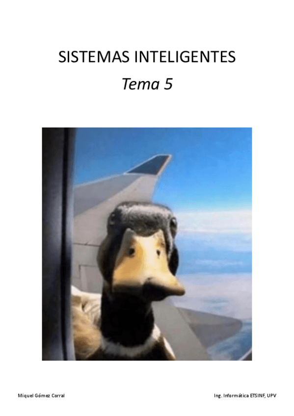 Miniatura del documento SIN-Tema-5.pdf
