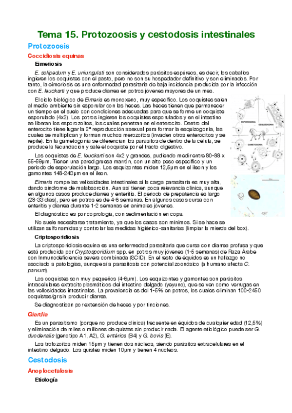 Miniatura del documento Tema-15-Protozoosis-y-cestodosis-intestinales.pdf