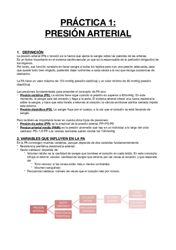 Miniatura del documento PRACTICA-1-PRESION-ARTERIAL-TEORIAIMAGENES.pdf