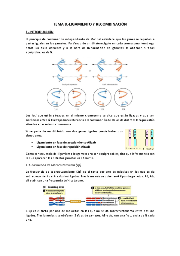 Miniatura del documento Tema 8.-Ligamiento y recombinación.pdf