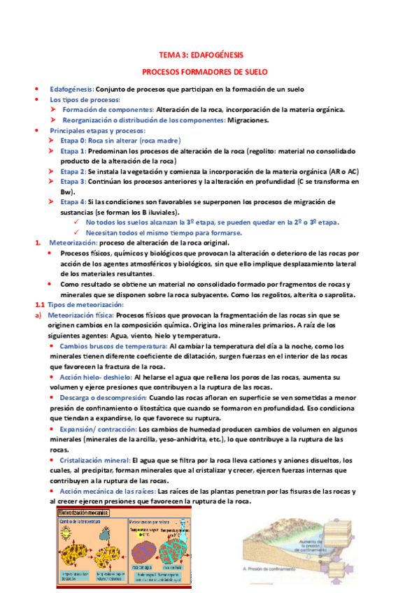Miniatura del documento TEMA-3-EDAFOLOGIA.pdf