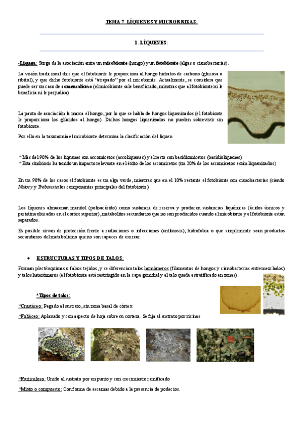 Miniatura del documento tema 7.-liquenes y micorrizas.pdf