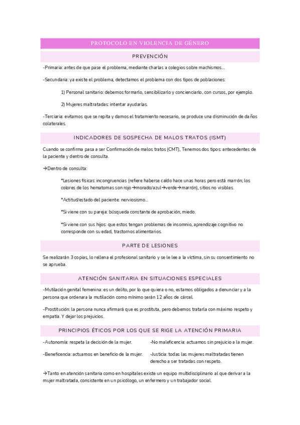 Miniatura del documento VG.pdf