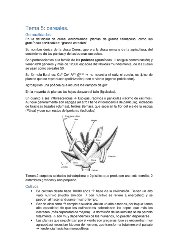 Miniatura del documento Tema-5-Cereales.pdf