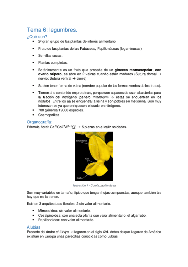Miniatura del documento Tema-6-Legumbres.pdf