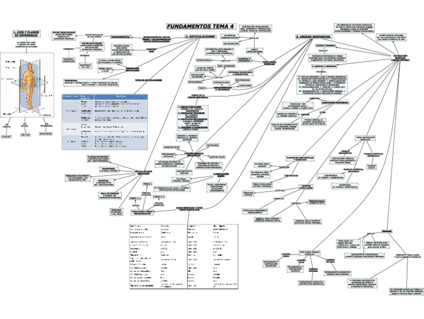 Miniatura del documento FUNDAMENTOS-TEMA-4.pdf
