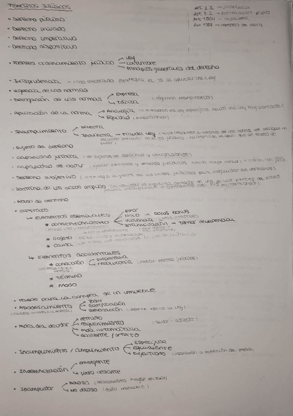 Miniatura del documento esquema-completo-principios-juridicos.pdf