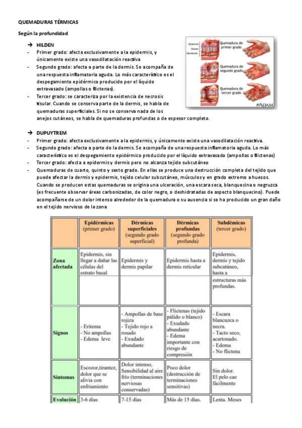 Miniatura del documento Quemaduras-termicas.pdf