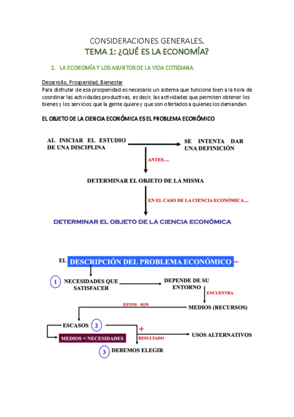 Miniatura del documento apuntes ECONOMIA tema 1.pdf