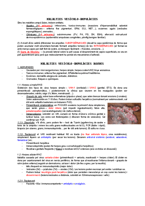 Miniatura del documento Resum-ampulacies-T5.pdf