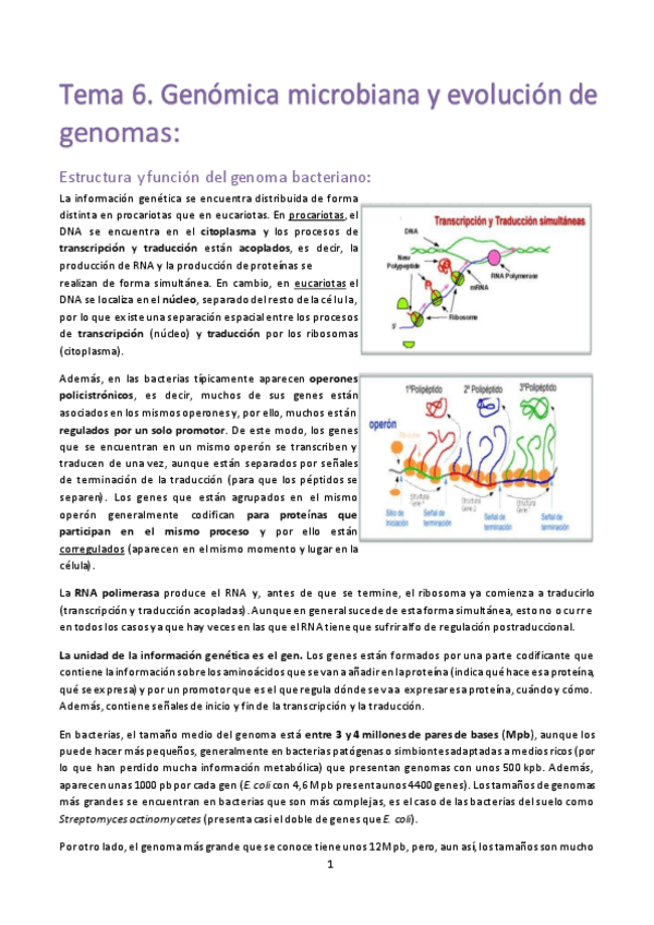 Miniatura del documento TEMA-6-MICRO.pdf