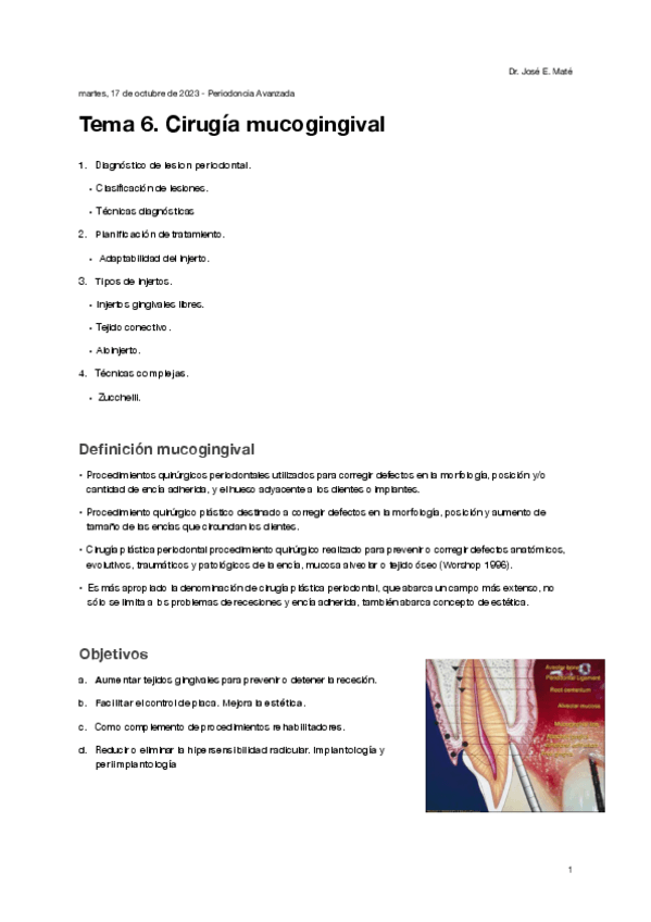 Miniatura del documento Tema-6.-Cirugia-Mucogingival.pdf