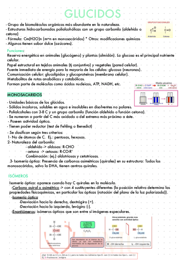 Miniatura del documento Glucidos.pdf