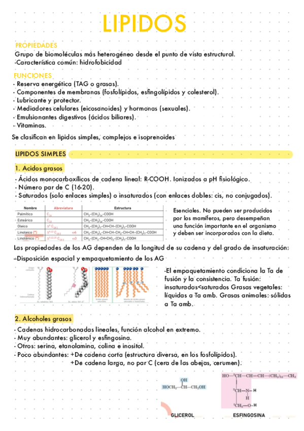 Miniatura del documento Lipidos.pdf