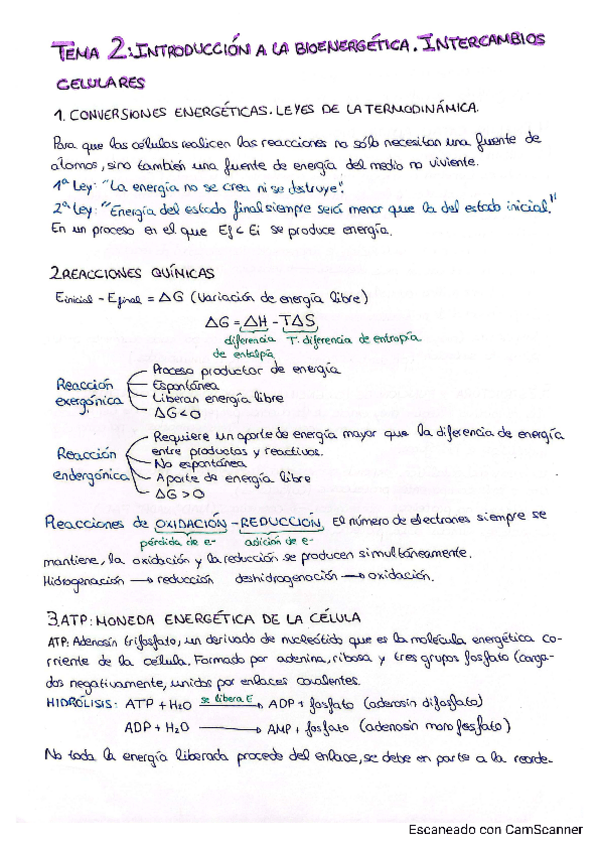 Miniatura del documento Tema-2-Biologia.pdf