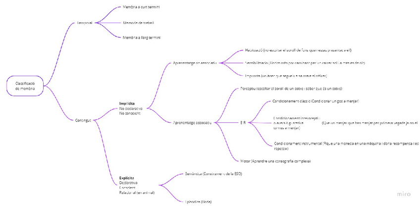Miniatura del documento Classificacio-de-memories.pdf